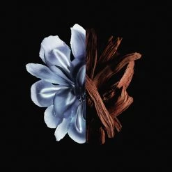 Givenchy Gentleman Reserve Privée Eau De Parfum -Offerta economica [Givenchy] Givenchy Gentleman Givenchy Givenchy Gentleman Reserve Privee 2