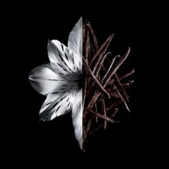 Givenchy L'Interdit Intense Eau De Parfum -Offerta economica [Givenchy] Givenchy L interdit L Interdit Intense 6